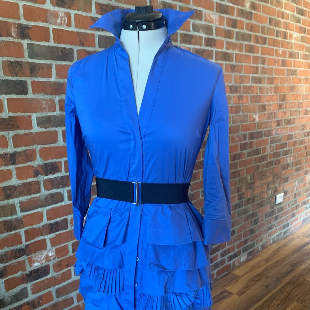 Ruffle blue BCBG dress